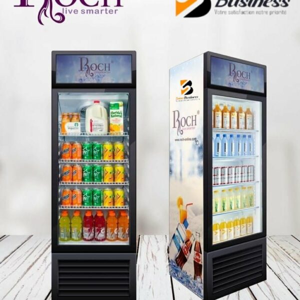 REFRIGERATEUR ROCH VERTICAL VITRINE RSF-260-0