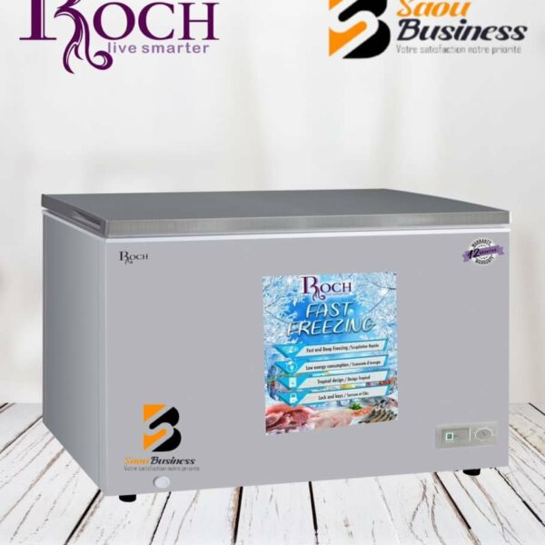 CONGELATEUR ROCH HORIZONTAL 550 LITRES SILVER
